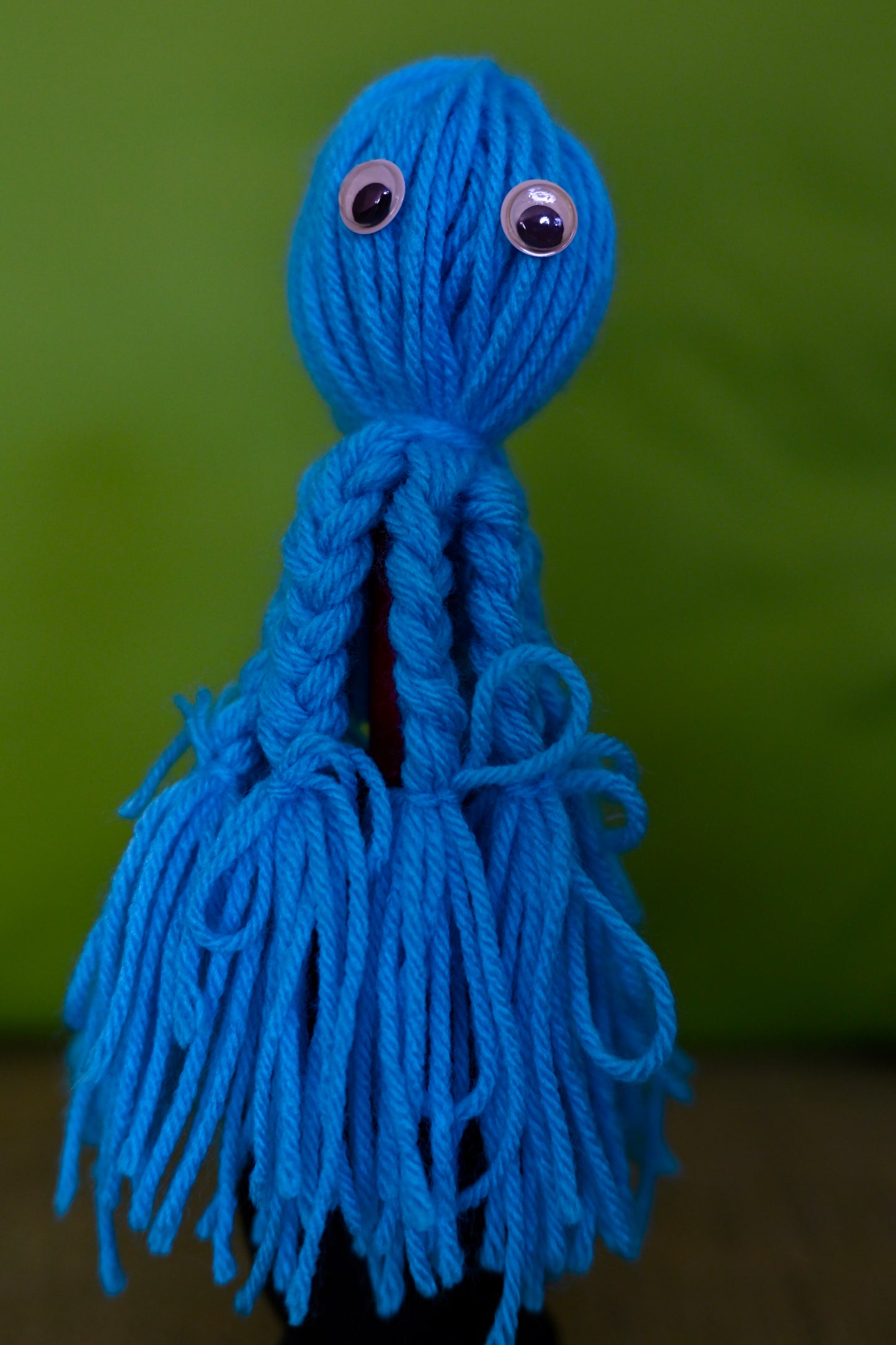 small/medium octopus